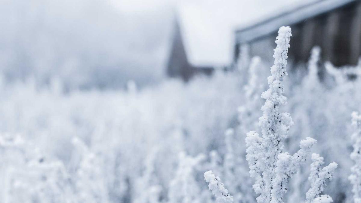 广东雨水上线 韶关清远等地局地有中雨