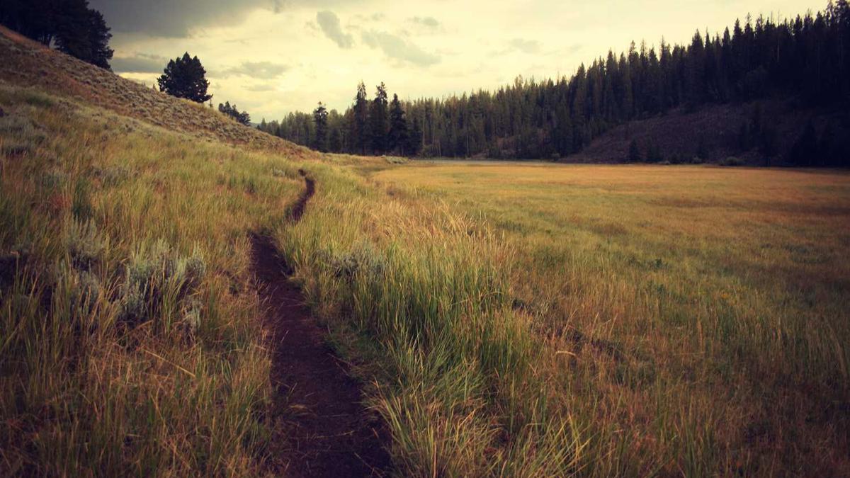 广西黄城港在哪个省