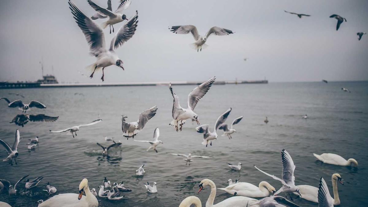 郭杰的任免信息