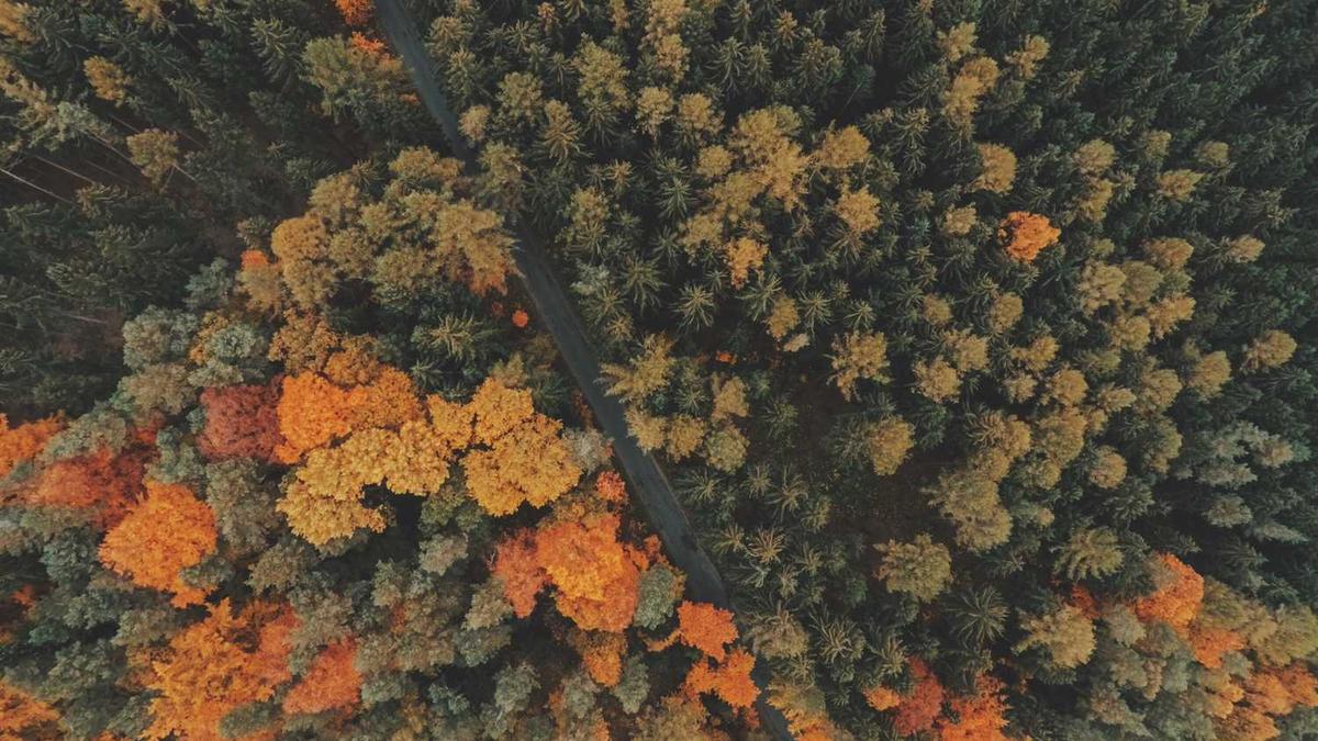 强党建、重协商、靠群众——基层治理需走好三步棋