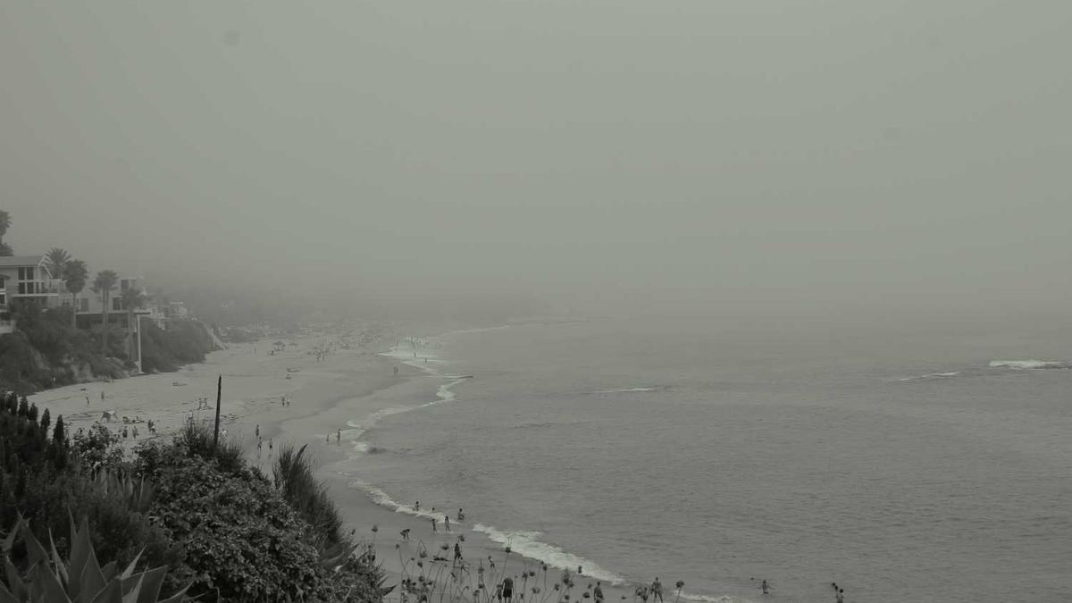 湛江科技学院要倒闭吗