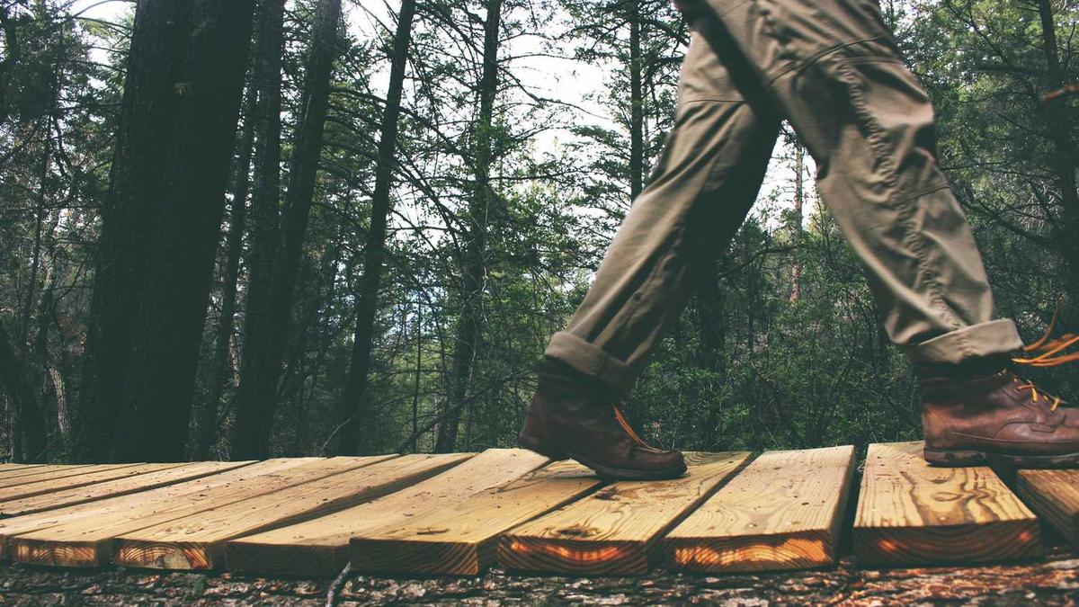 思齐俱乐部是做什么的?又该如何参加思齐圈活动?