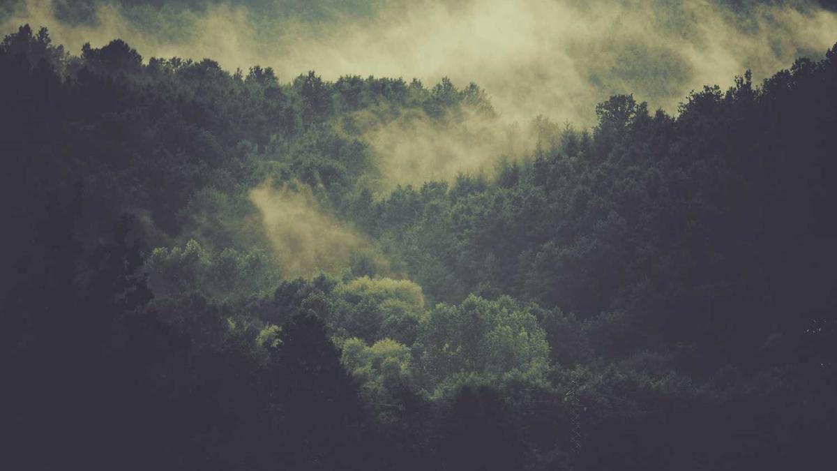 武汉暴雨什么时候停