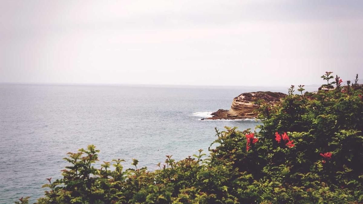 鹤壁有哪些好高中?